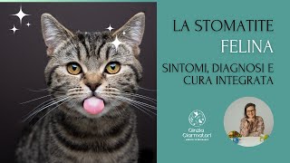 Stomatite felina tutto quello che devi sapere [upl. by Claus]