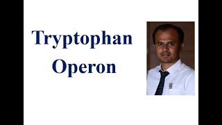 Video 4 Tryptophan operon [upl. by Gonnella345]