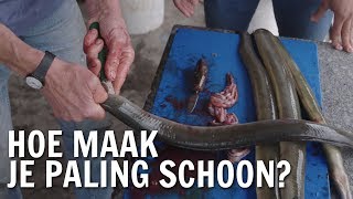 Hoe maak je paling schoon  De Buitendienst over Paling [upl. by Hillie]