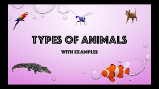 Types of Animals with examples  For kids [upl. by Siraj37]