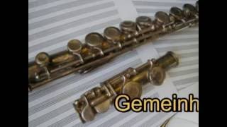 Gemeinhardt 2sp flute [upl. by Aserat455]