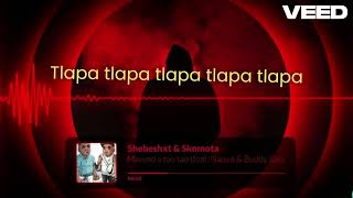 MAVUSO A TAO TAO LYRICS Shebeshxt amp Skomota [upl. by Odranreb]