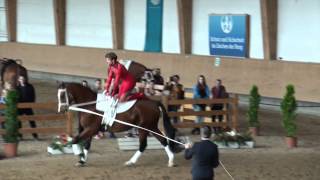 Pferd International 2015  Christian Riel [upl. by Nomled]