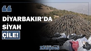 Diyarbakır’da siyah çile Zahmet çok karşılığı yok  Ekspres Haber [upl. by Nosyd]