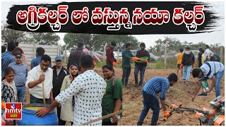 అగ్రికల్చర్ లో వస్తున్న నయా కల్చర్  Nelatalli  hmtv Agri [upl. by Tildy]