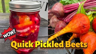 Quick Refrigerator Pickled Beets [upl. by Travers261]