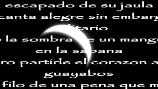 Carlos Vives Noche Sin Lucero con letra [upl. by Aliahs]