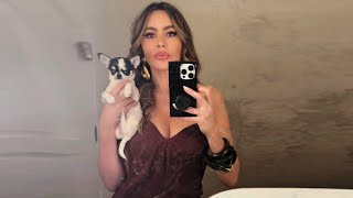 Sofia Vergara Introduces Her New Puppy Amore After Giving Full Custody Of Bubbles To Joe Manganielo [upl. by Ramsay]