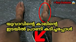 WARNING  ഇതെന്നെ കൊല്ലുകയാണ്😱  Its Killing Me  JOURNEY TO FIND KARINTHANDAN GONE EXTREMELY WRONG [upl. by Yrtsed]