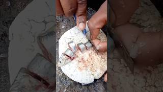 Expert Idea of Catching Fishes in Handline Fishing Technique fishing fishingvideo seafishing [upl. by Lynd333]