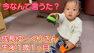 【成長ゆっくりさん生後1歳2ヶ月】よーいドン！が分かるように＆車の向きが分かるように 成長目安 [upl. by Brianne]