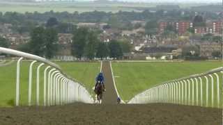 Newmarket  Made for the Racehorse Short version [upl. by Naahs]