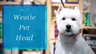 How to Do a Westie Pet Head  with Master Groomer [upl. by Snider717]