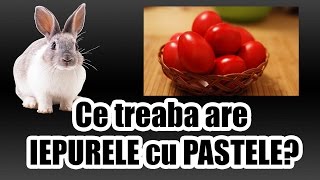 Ce treaba are IEPURELE cu PASTELE [upl. by Edme]