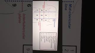 9 REGIONS OF ABDOMEN anatomy abdomen [upl. by Esimehc]