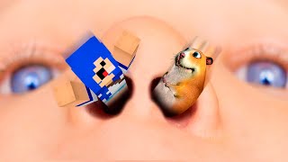 PROCURANDO O HAMSTER SECRETO no MINECRAFT FIND CHOMIKS [upl. by Christopher]