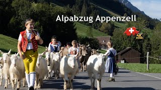 Alpabzug Appenzell Alpine Descent [upl. by Zannini848]