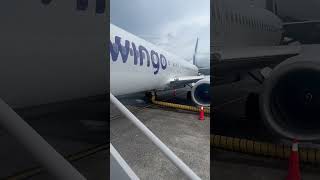 Hoy viajando para Chiriqui en Panama a entregar estos dos cachorros pomerania [upl. by Ailen400]