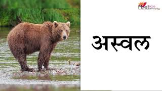 प्राण्यांची नावे  मराठी  Name Of Animals In Marathi  Pranyanchi nave  List Of Animals In Marathi [upl. by Ailemap]