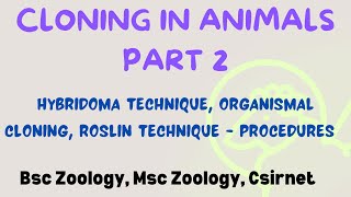 Cloning in Animals PART 2  Roslin and Hybridoma cloning msczoology bsczoology biotechnology [upl. by Korenblat]