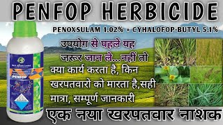 Penfop herbicide  Best agro Penfop  penoxsulam 102  Cyhalofopbutyl 51OD  खरपतवारनाशक [upl. by Buell]