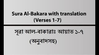 Sura AlBakara  Verse 17  Sura Bakara with Bangla amp English Translation  Quran Recitation [upl. by Possing]