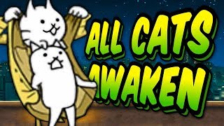 SO MANY TRUE FORMS  Awakens Specials Stages  Battle Cats 27 [upl. by Ramu]