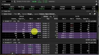 Optionality Explained  Options Trading Stock Trading Calls and Puts [upl. by Aicekat]