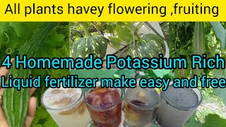 घर पर बनाये चार तरह से पोटैशियम रिच तरल खाद  Four Potassium Rich liquid fertilizer homemade amp free [upl. by Fanny]