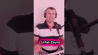 Halaylık şarkılar Urfalı Zeyno Murat Tırman [upl. by Nomaid]