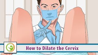 How to Dilate the Cervix [upl. by Salbu]