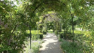 Arboretum Munnikepark Zwijndrecht the Netherlands [upl. by Tamra]