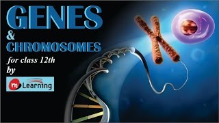 GENES amp CHROMOSOMES INTRODUCTION  01 For Class 12th and AIPMT [upl. by Neda]