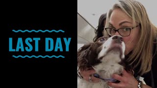 Last Day VLOG 57 with dog lymphoma mast cell tumors testicular cancer and cat hemangiosarcoma [upl. by Marketa19]