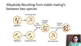 Polyploidy in Plant Breeding [upl. by Tihom6]