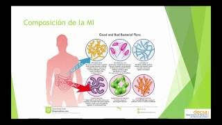 Fisiología  Microbiota intestinal [upl. by Nino]