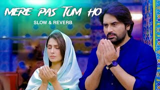 MERE PAS TUM HO OST  SLOWED amp REVERB ❤ [upl. by Reinert599]