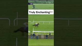 Truly Enchanting Impresses on Debut at Tipperary [upl. by Kenon212]