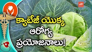 ఆరోగ్యానికో క్యాబేజీ  Top 10 Health Benefits of Cabbage  Health Tips in Telugu  YOYO TV Health [upl. by Sommer]