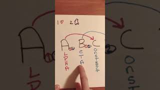 Alpha and beta receptor action made simple [upl. by Berardo481]