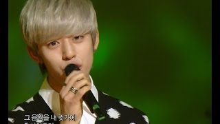 【TVPP】DaehyunBAP  Love Cocktailswith Hyosung Jieun 대현비에이피  칵테일 사랑  Yesterday [upl. by Ennairak]