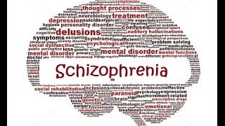 Asperger Syndrome A Form of Schizophrenia [upl. by Gant]