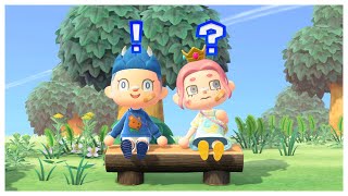 🏝️ NOTRE PLUS GROS PROJET sur Animal Crossing New Horizons avec harvendore [upl. by Cinimod]