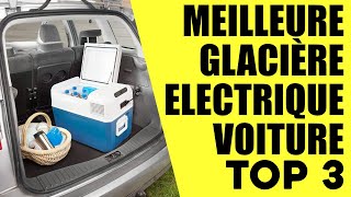 Top 3 Meilleure Glacière électrique pour Voiture 2024 [upl. by Hildegard]