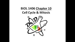 Chapter 10 Cell Cycle and Mitosis [upl. by Lehcear]