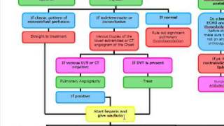 Pulmonary Embolus Algorithm [upl. by Teak]