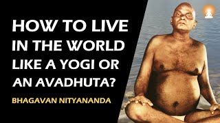 How YOGIS live in the World after Enlightenment  Bhagavan Nityananda Avadhuta [upl. by Eedrahs]