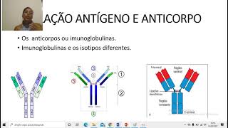 RELAÇÃO ANTÍGENO E ANTICORPO [upl. by Nallid]