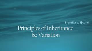 Principles of Inheritance amp Variations  One Shot [upl. by Nilkoorb]