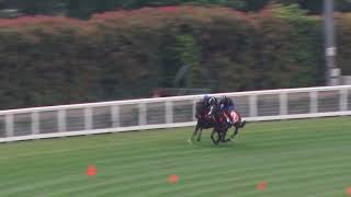 28 Nov Gallops Gallop 3 [upl. by Idnyc]